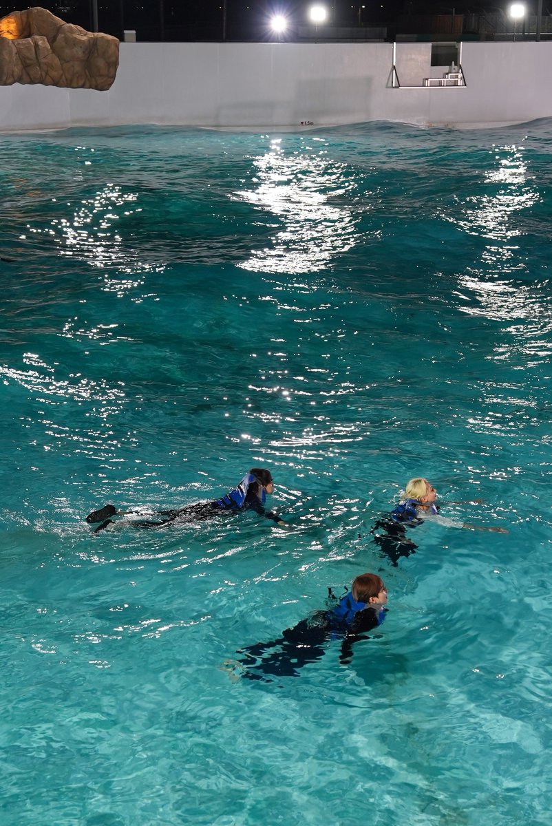 wonwoo ggoyo-iler #원우