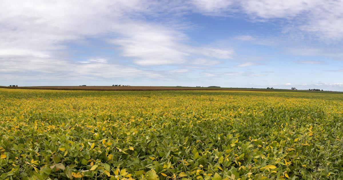 ILFarmRadio tweet picture
