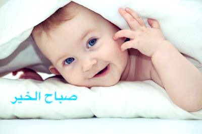 malrawq12's tweet photo. @aboraaljaser https://t.co/5hs4MmzUuj