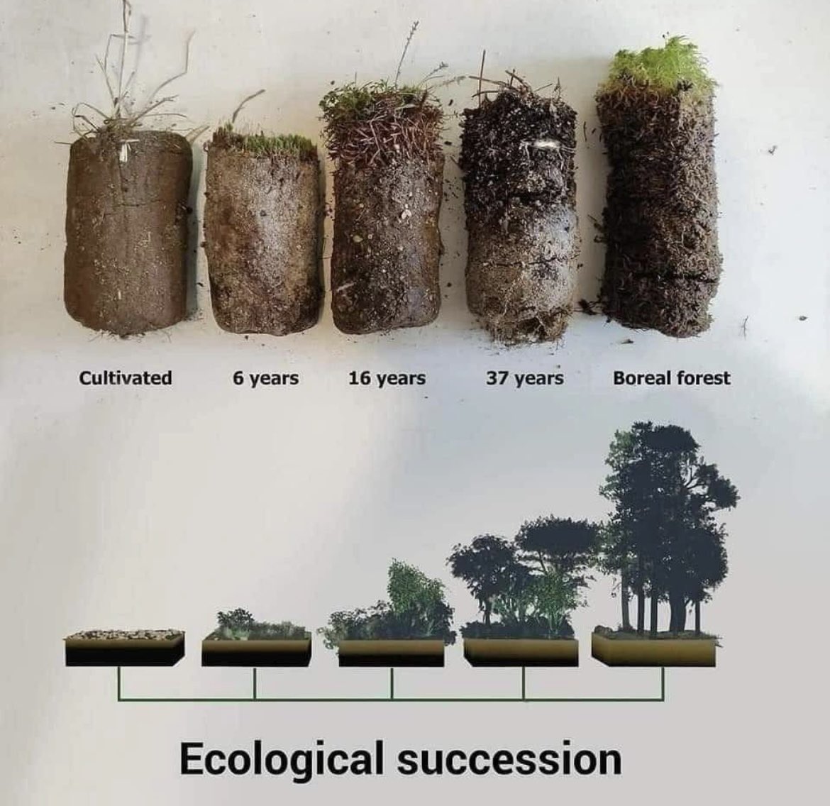 Fascinating ! doi.org/10.1036/1097-8…