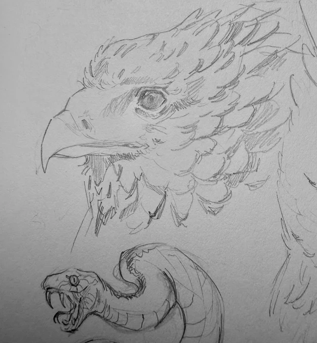 some animal studies i ended up liking :-) 