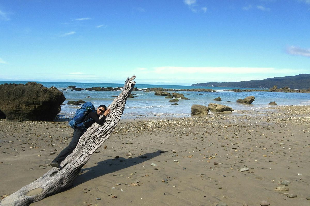 NZ Wilderness tweet media