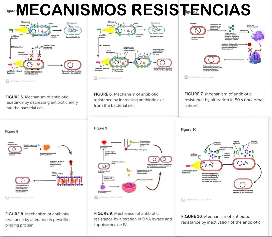 infeccHRUmalaga's tweet photo. Revision📚📝@FrontPharmacol exposicion Dra. #LauraRueda sobre #ANTIBIÓTICOS💊y #RESISTENCIAS🛡️🧫:
🔹Mecanismos #acción ATB📸1
🔹Mecanismos #resistencias📸2
🔹Factores que FAVORECEN resistencias📸3
🔹Como combatir resistencias🤼
Interesante lectura!🙇🏻‍♂️
🔗🆓👉🏻https://t.co/F4oAId0DDF https://t.co/abXULaemQz