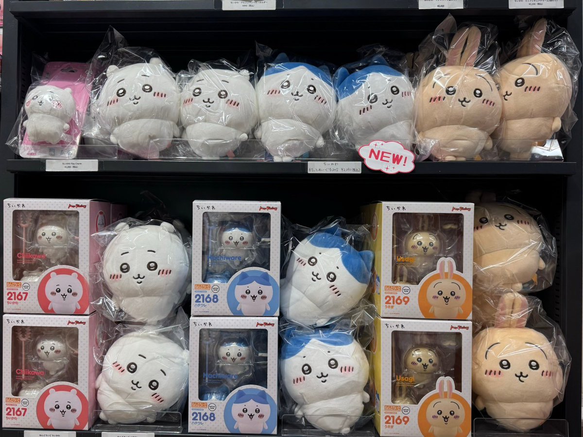 MDS BtoB |#クラックス 下敷き T＿ウチノネコチャンA4
