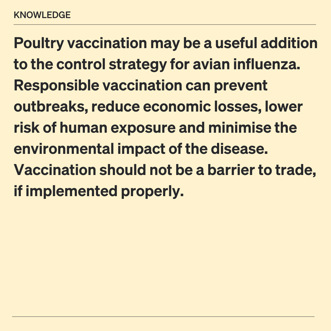 WOAH's tweet photo. Last week, with @iabs_global, we held a key meeting on vaccination and surveillance for High Pathogenicity Avian Influenza (HPAI) in #poultry. To curb HPAI, protect poultry industries, and reduce pandemic risks, we must leverage all tools—vaccination included. 
#AvianInfluenza