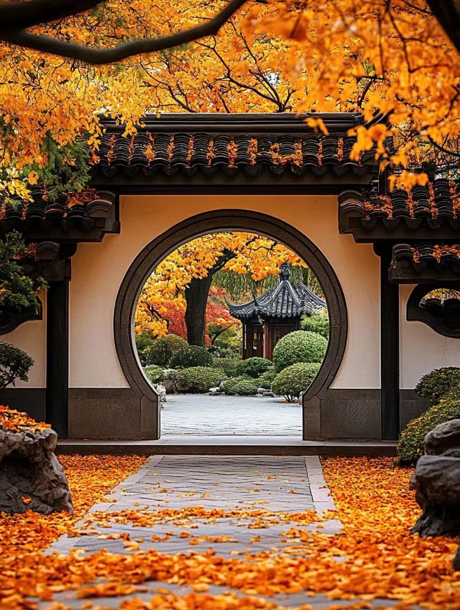 中式审美|苏州园林，满足你对秋色极致幻想#不可错过的美景#大美中国