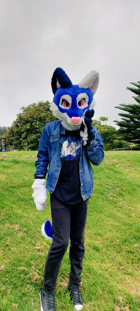 Saylight2's tweet photo. Walking in the north of New Zealand after a long time I was able to use my fursuit jeje #furry #fursuit #furryfandom https://t.co/GfC0KOCoT1