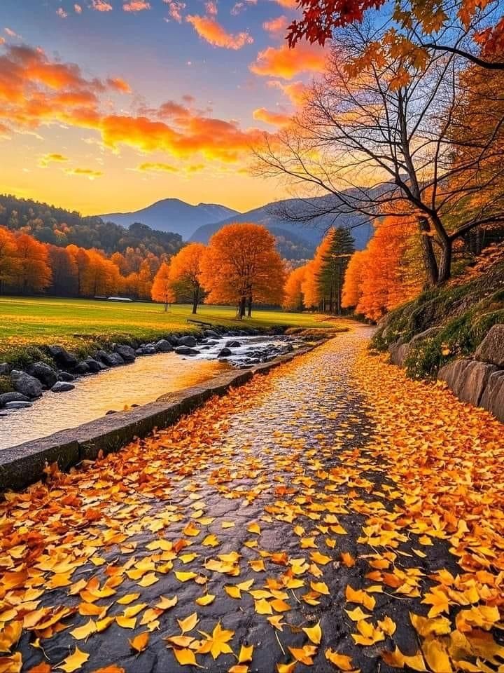 Guardo il cielo
e non dispero,
pennellate di colore
appaiono sullo sfondo,
immagine di bellezza
presagio di speranza
nuova forza 
per le anime stanche

#Buongiorno #30ottobre 
#NoiSiamoIlDestino #LimponderabileFragilitàDellEsistenza
#LaBellezzaSalveraIlMondo