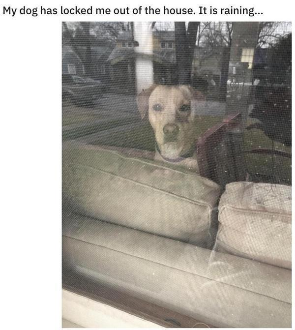 Randy Stegehuis tweet media