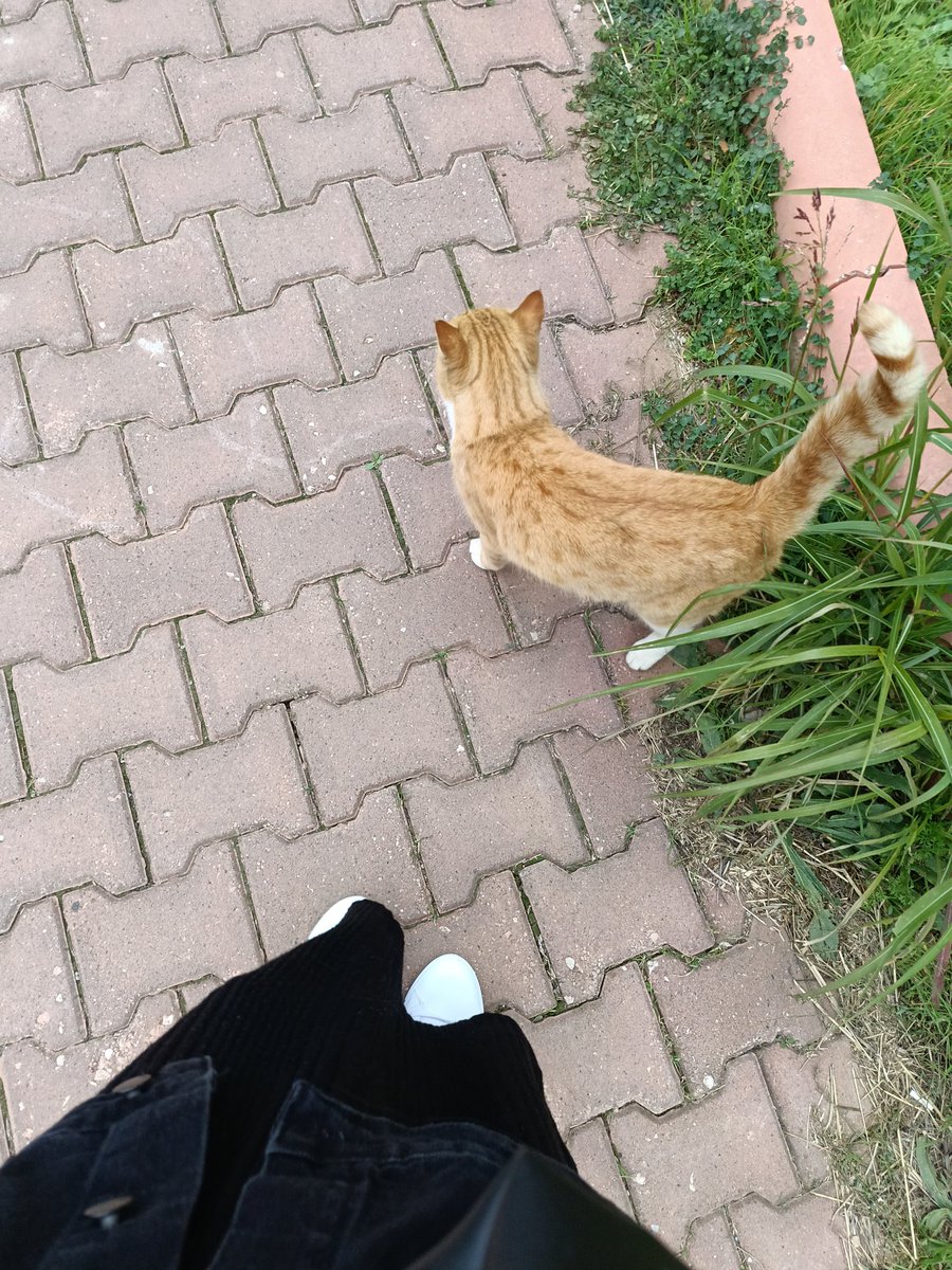 Eee hani poz vermedi buuu