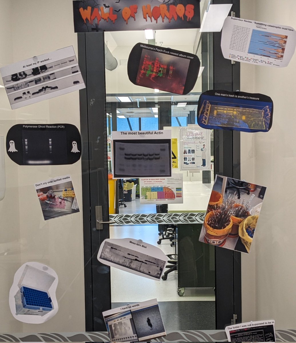 sadras_t's tweet image. The students on Level 13 getting into the spirit of Halloween in true science style with a dedicated Wall of Horrors! @PeterMacRes