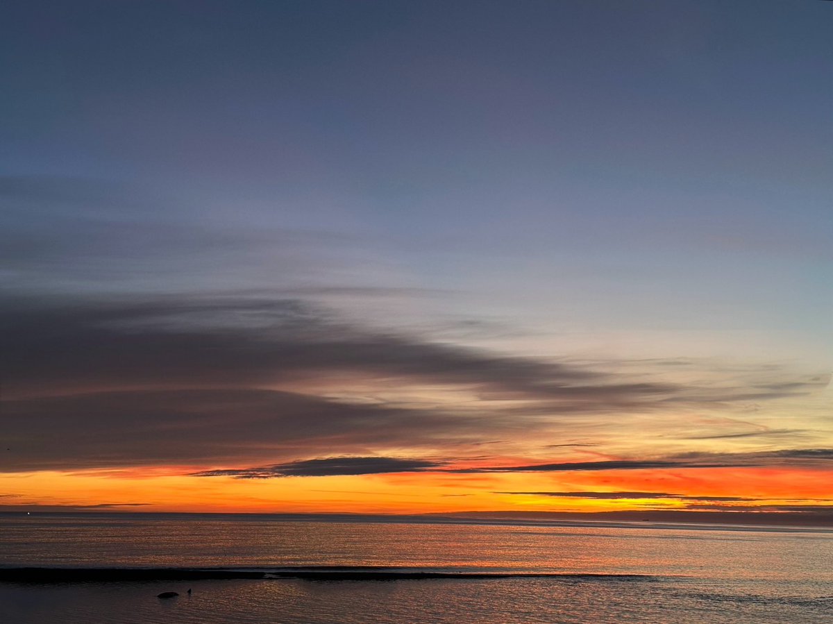 SeaWindowCraster tweet media