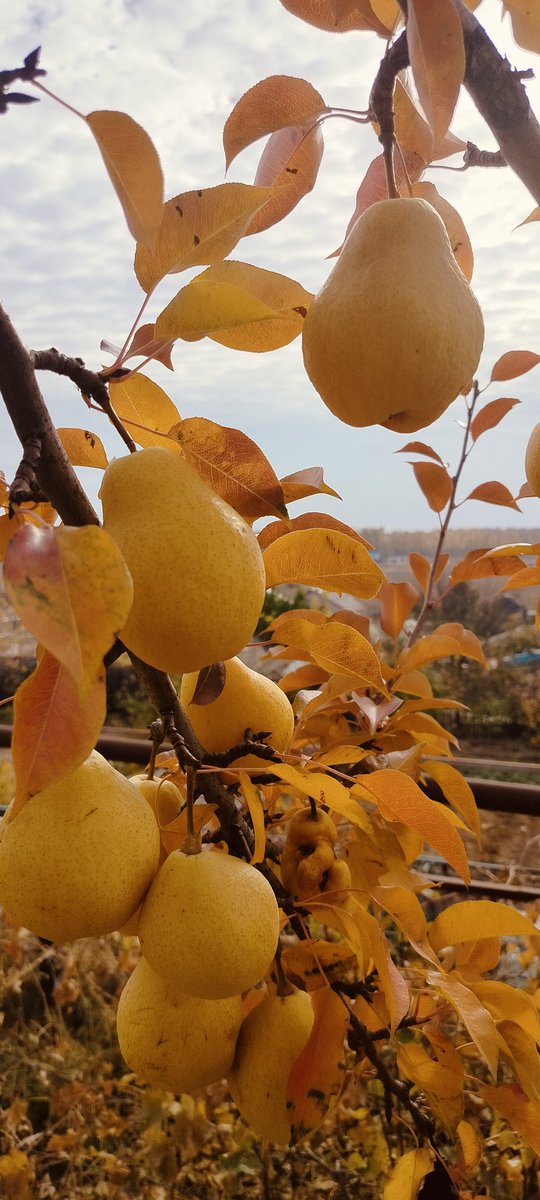 „Я бы сошел с ума от несправедливости этого мира, если бы не знал, что последнее слово останется за Господом Богом.“ — 
 Старец Паисий Святогорец