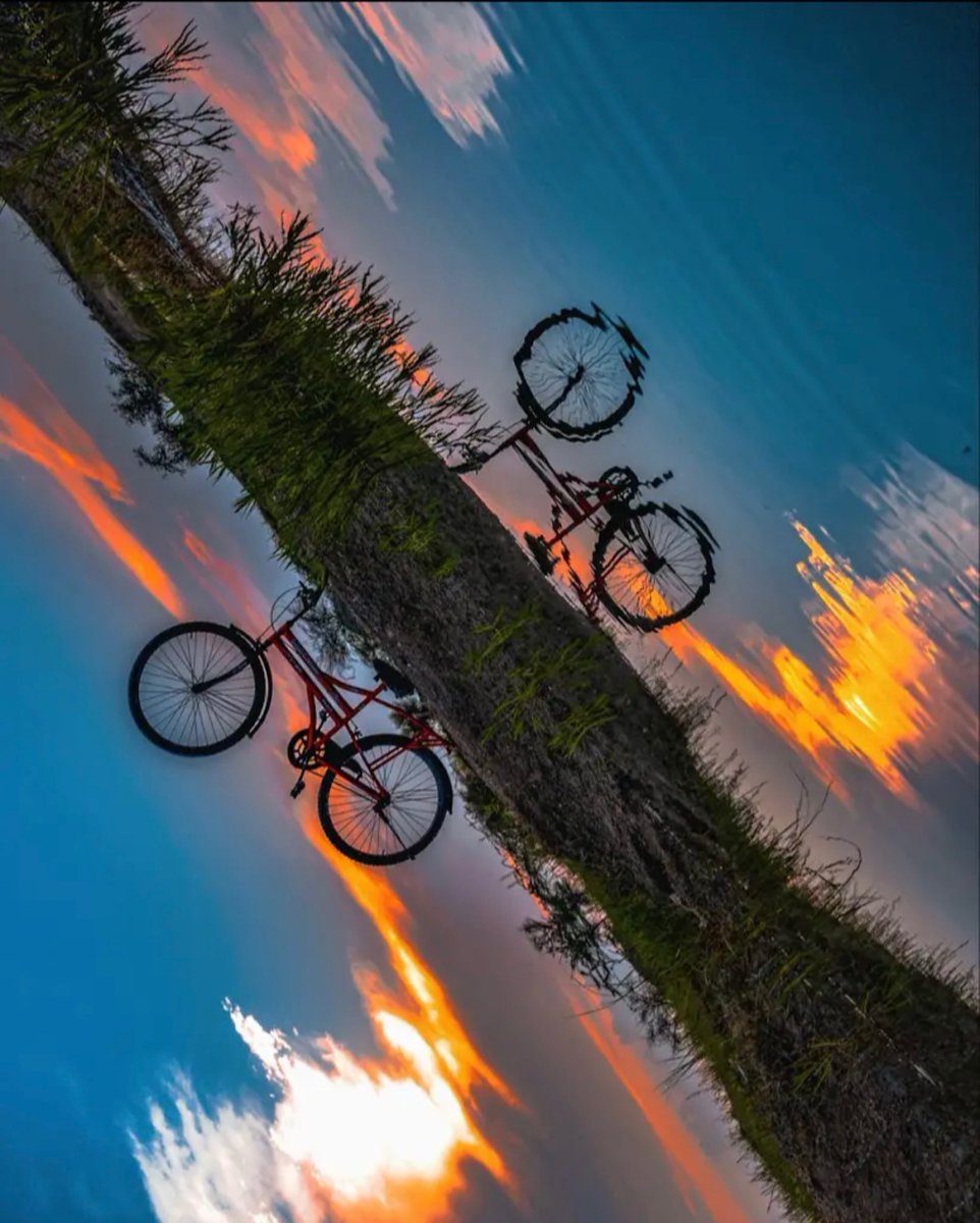 TechWiser's tweet image. Hey #TeamTechWiser 🙌

We got overwhelming response for the #shot4TW photography contest. Here are some entries that we loved❤️

Below are some rules for the contest-

1. Submit your photos on Twitter and Instagram.
Use the #Shot4TW and make sure to tag @TechWiser when you…