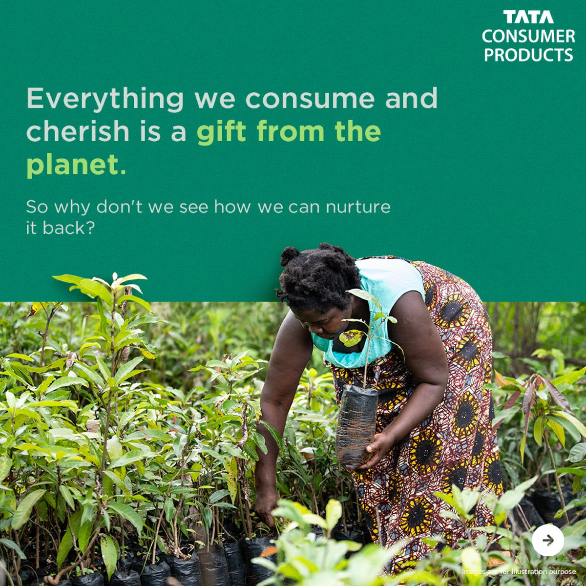 TataConsumer's tweet photo. Celebrating #WorldSustainabilityDay, we are pleased to announce the successful implementation of our payment for ecosystem services project, Project Mthunzi, in partnership with @EthicalTea. https://t.co/ZextWT4A1X