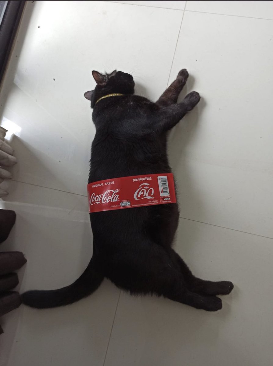 Gekikawa_Dbts's tweet image. 5Lサイズのコーラが落ちてた