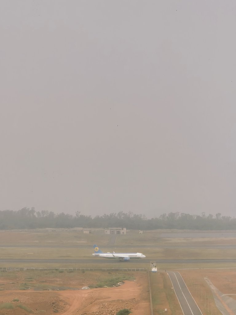 That_ATCO's tweet photo. New Bird Today ...
#welcometocentralasia https://t.co/JRDK4otOW6