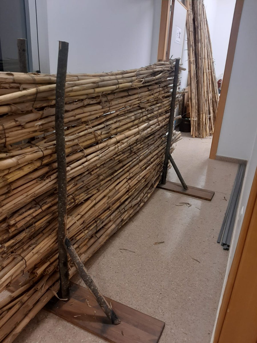 ASOCIACIÓN HISTÓRICO CULTURAL RECREADORES BALUARTE tweet media