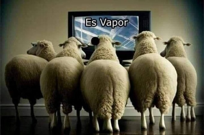 Immobiliare Di Lorito tweet media