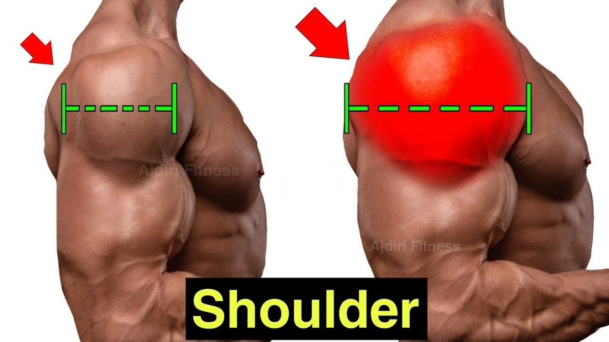The_Truepath's tweet photo. 5 Super Shoulder Workouts - Dumbbell Only:

-Thread- https://t.co/RQ9ciGYBAb