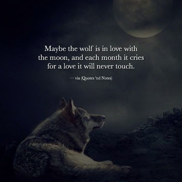 The darkest hour, the last one
Last time to gently touch 
those already cold fingers,
once so strong and warm
Silently now snow covers 
them all
Never again would that 
strength run through those veins
Never again would that warm and 
powerful touch hold 
my slowly fading heart,