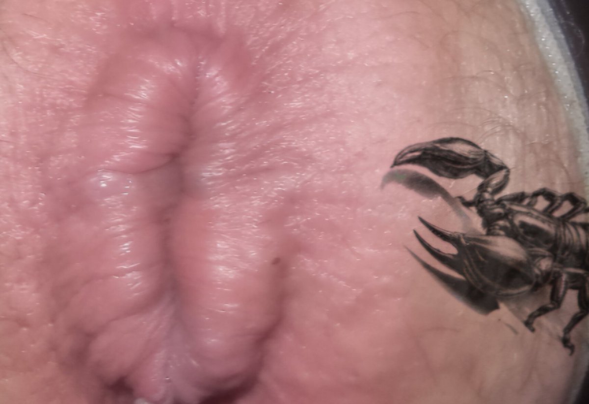 huskyozcub's tweet photo. Thinking about getting a new tattoo
Guys what u think!
#scopion #placement #BBBH https://t.co/lriMYnTlZy