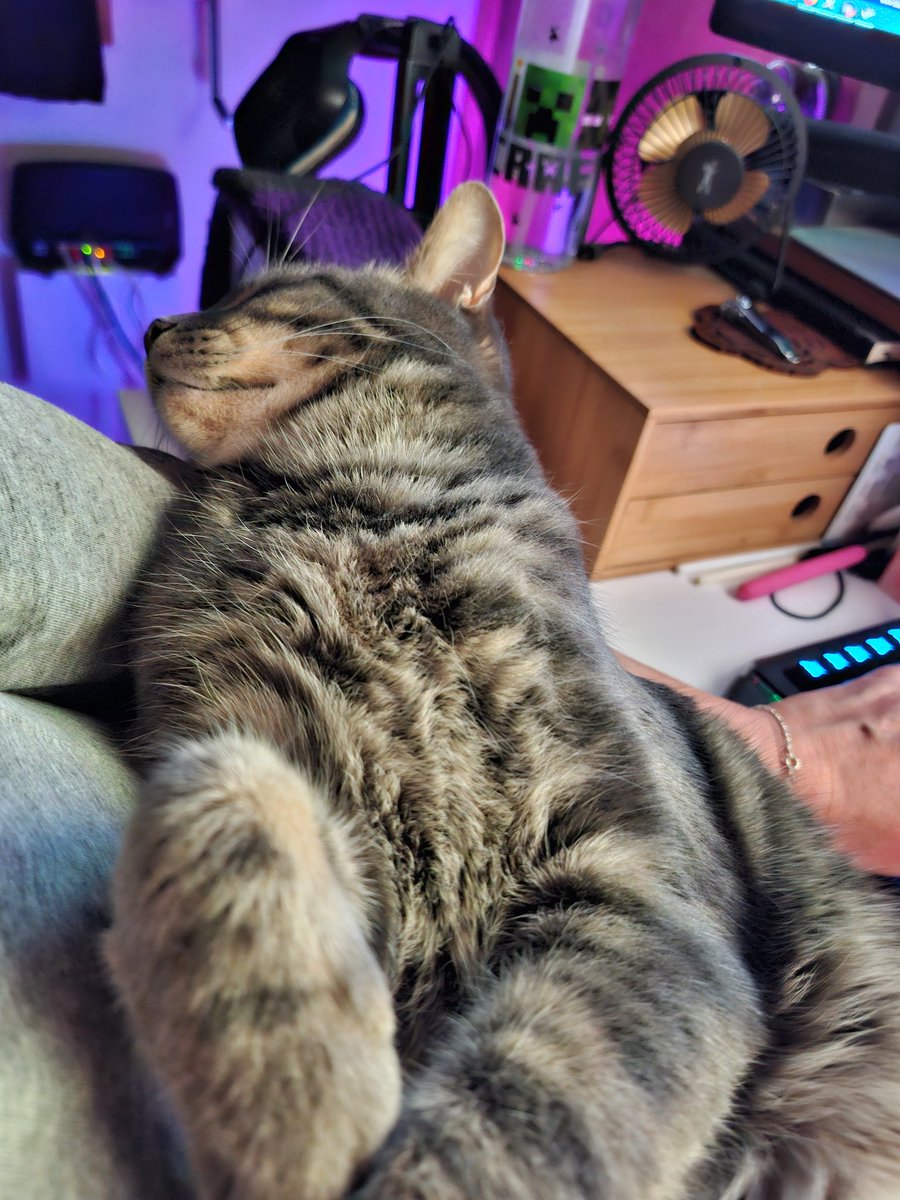 Sam_Bojangles's tweet photo. @Rin_Vixen Sleepy cats https://t.co/BcQ7HTFJwA
