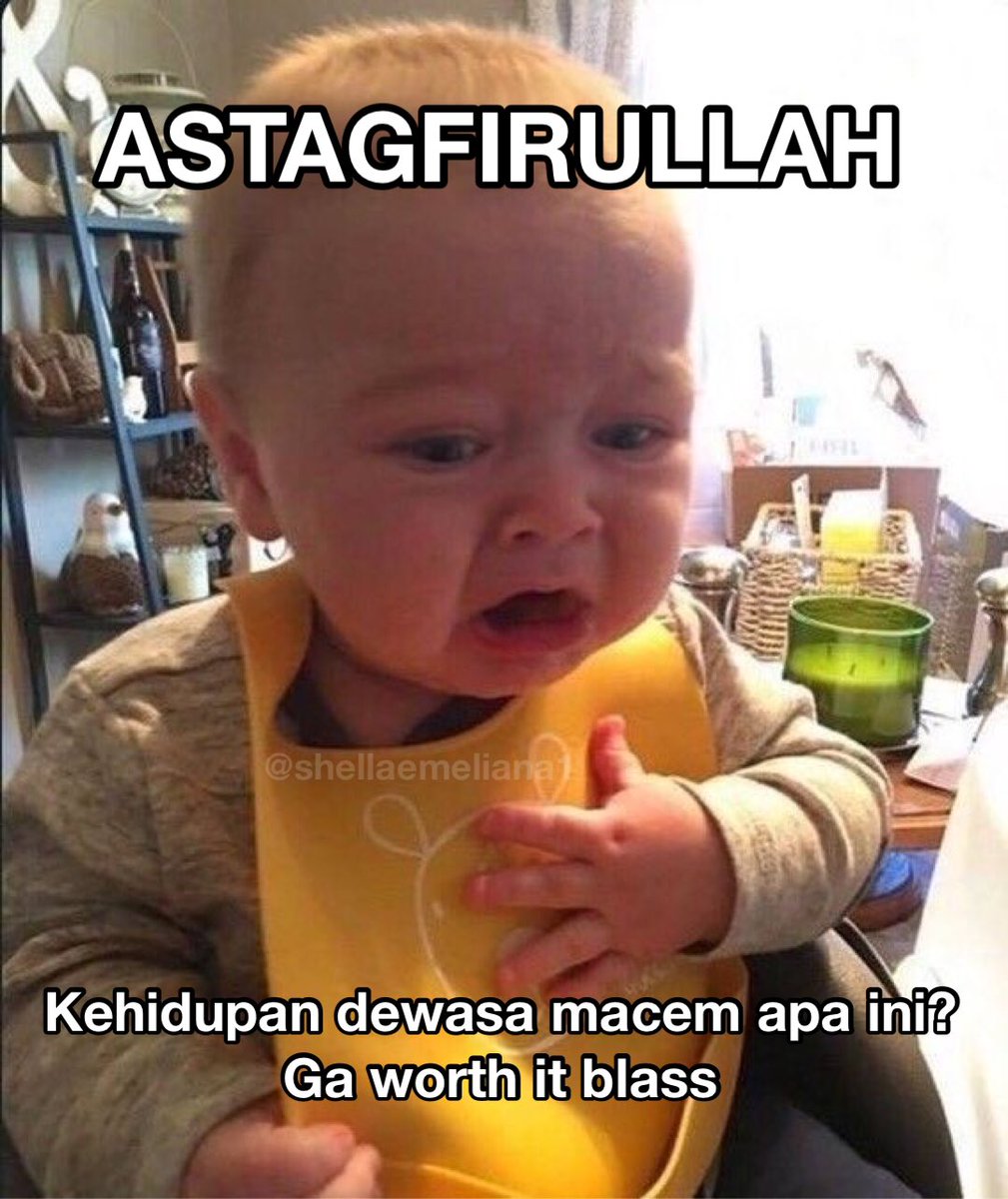 S H E L L A tweet media