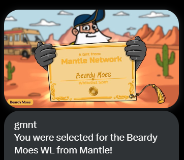 MauricioBTCEHT's tweet photo. Muito obrigado por @0xMantle @MerchantMoe_xyz. Serei holder de uma das coleções de NFT mais promissoras do ecossistema Mantle. Uhull❤️‍🔥❤️‍🔥 https://t.co/OEJWUnHoBf
