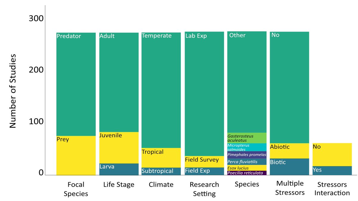 Costanza Zanghí tweet media