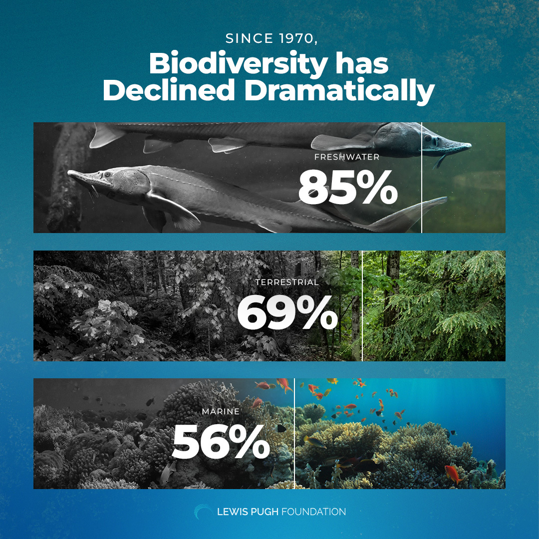 Our world is changing, and not for the better. The latest Living Planet Report by <a href="/WWF/">WWF</a>  paints a haunting picture 🌍💔🐝 🐘🦋