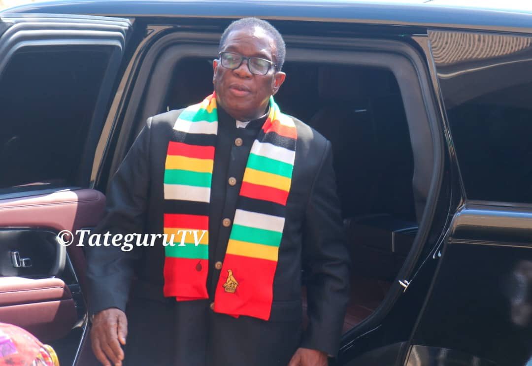 Nick Mangwana tweet media