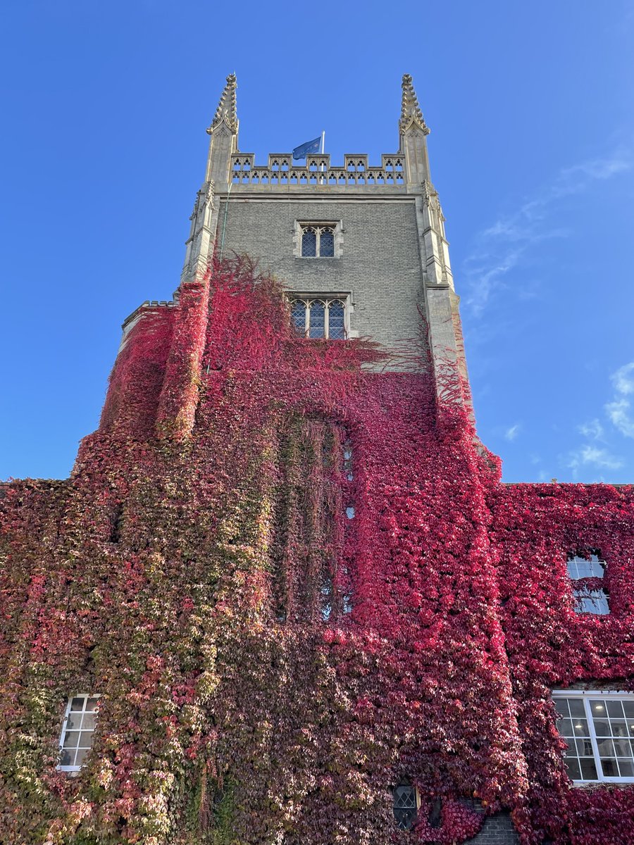 Meet Cambridge tweet media