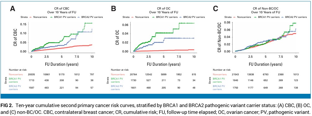 Isaac Allen (@isaac__allen) on Twitter photo In the latest study from my PhD & <a href="/CanGeneCanVar/">CanGene-CanVar 🧬</a> programme, published in @jco_asco, we looked at Risks of Second Cancers in Female and Male Breast Cancer Survivors carrying BRCA1 & BRCA2 pathogenic variants (PVs) using linked NHS data:
Paper: doi.org/10.1200/JCO.24… In the latest study from my PhD & <a href="/CanGeneCanVar/">CanGene-CanVar 🧬</a> programme, published in @jco_asco, we looked at Risks of Second Cancers in Female and Male Breast Cancer Survivors carrying BRCA1 & BRCA2 pathogenic variants (PVs) using linked NHS data:
Paper: doi.org/10.1200/JCO.24…