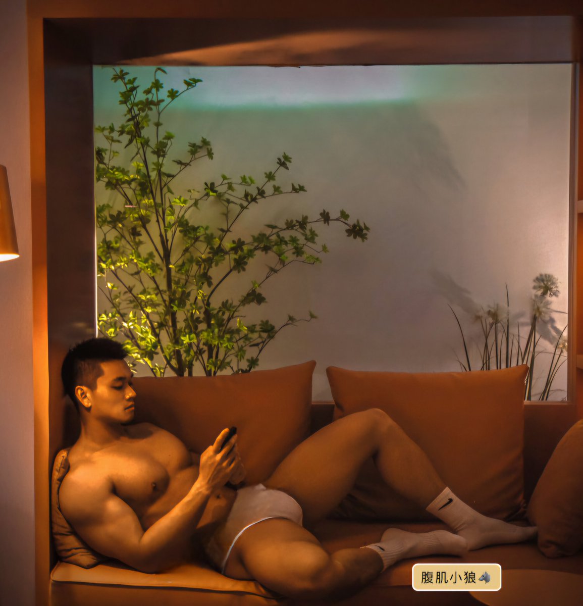 腹肌小狼🐺 tweet media