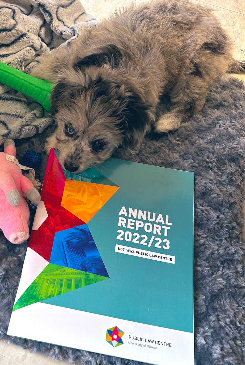 Our Centre mascot, Lucy, is getting her teeth into our most recent Annual Report- find your copy here: publiclawdroitpublic.ca/wp-content/upl…