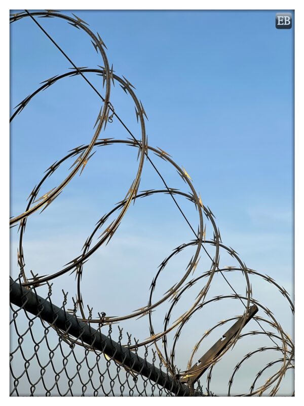 Eric_Brazier's tweet photo. “Sharpish: The Art of Dissuasion” https://t.co/RbuwjzKwCf #TheDailyMobile #photography #BarbedWire #Fence #RazorWire #Security #Sharp #Sunset #TheArtOfDissuasion https://t.co/AC9L4sn5Oz