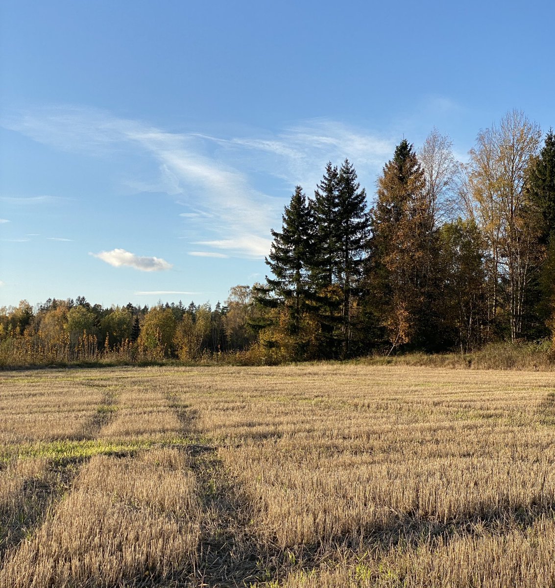 Ting vi SKAL bruke matjord til:
- Produsere menneskemat

Ting vi IKKE skal bruke matjord til:
- Boliger
- Juletreproduduksjon
- Golfbaner
- Ferdigplenproduksjon
- Shopping og varehus
- Motorvei
- Næringpark

Bare 1 prosent av landet er kornjord. Vi har ingen flere jorder å miste.
