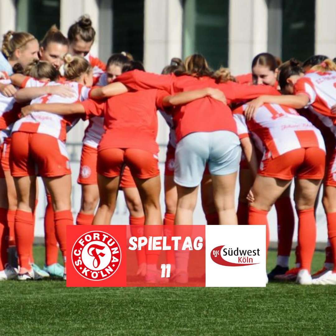 SCFanAccount's tweet photo. So dieses Wochenende geht's natürlich direkt weiter, denn unsere Männer spielen am Samstag um 14 Uhr in Düsseldorf und unsere Frauen Zuhause gegen DJK Südwest Köln. Auf geht's 👏❤️🤍
#forzafortuna #SCFF95 #SCFSWK https://t.co/j4CNFvPDpW
