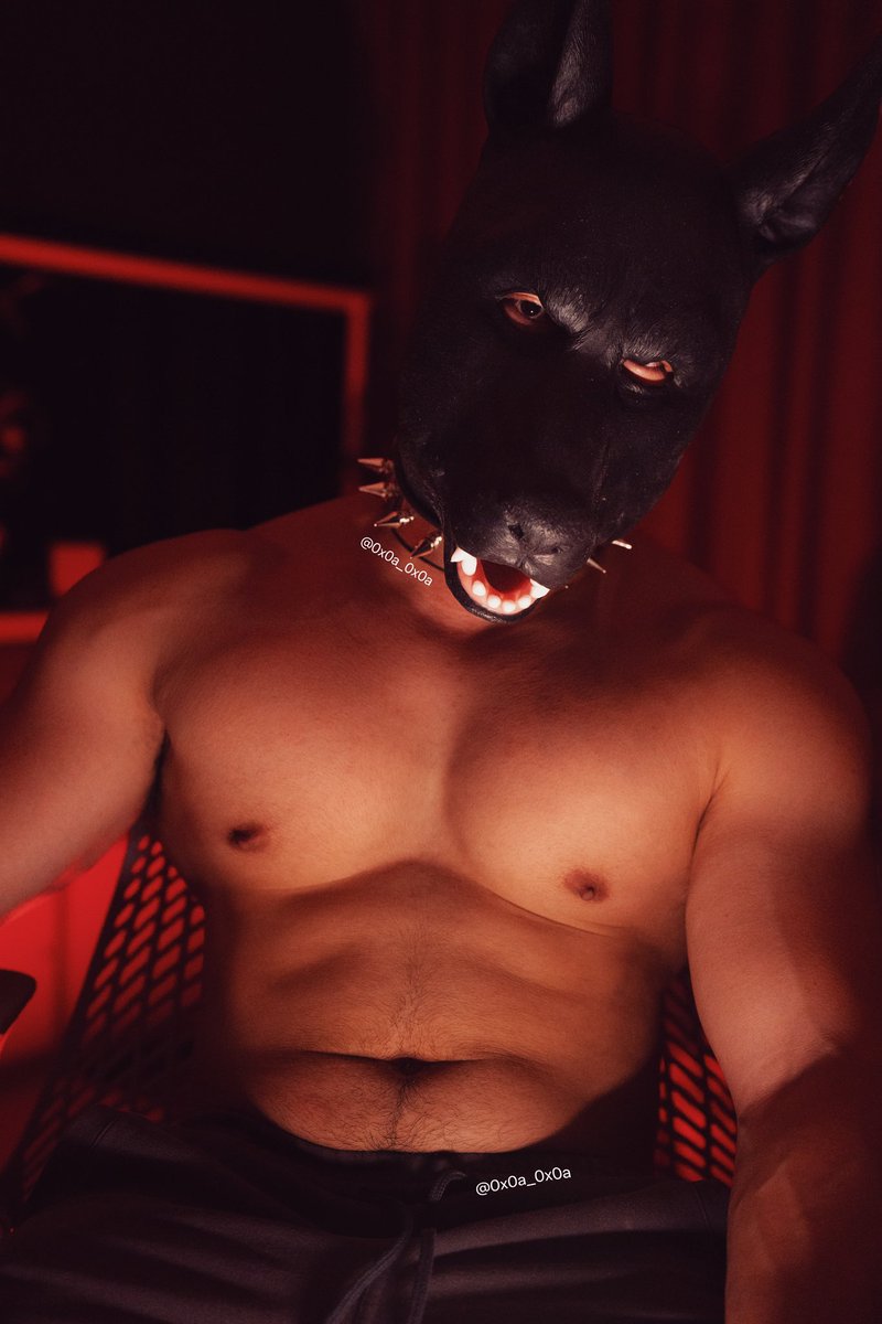 untitled.pup tweet media