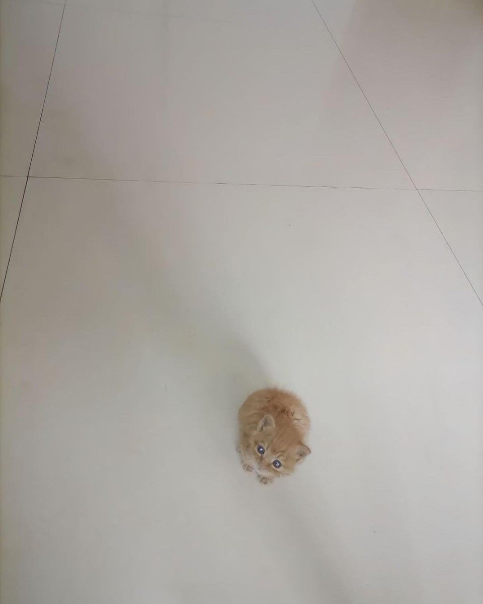 Ada apa ya adik? <a href="/bachmeed/">ANGGISHA.</a>