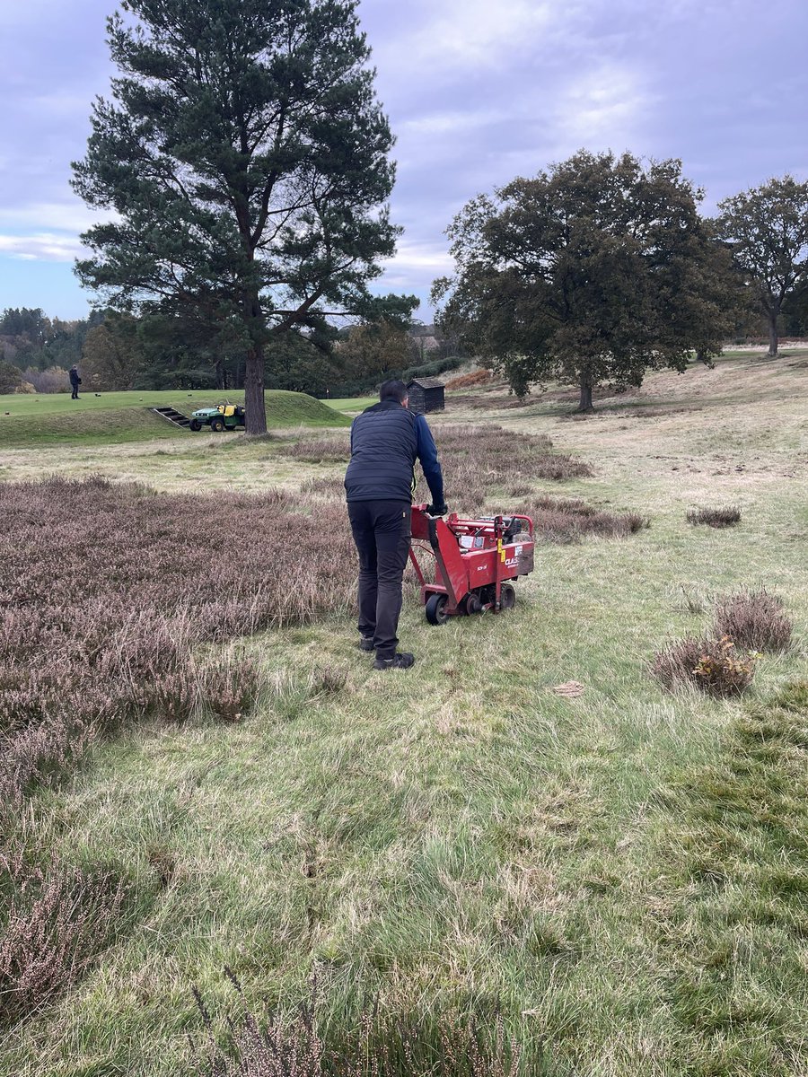 Delamere Forest GC Greens tweet media