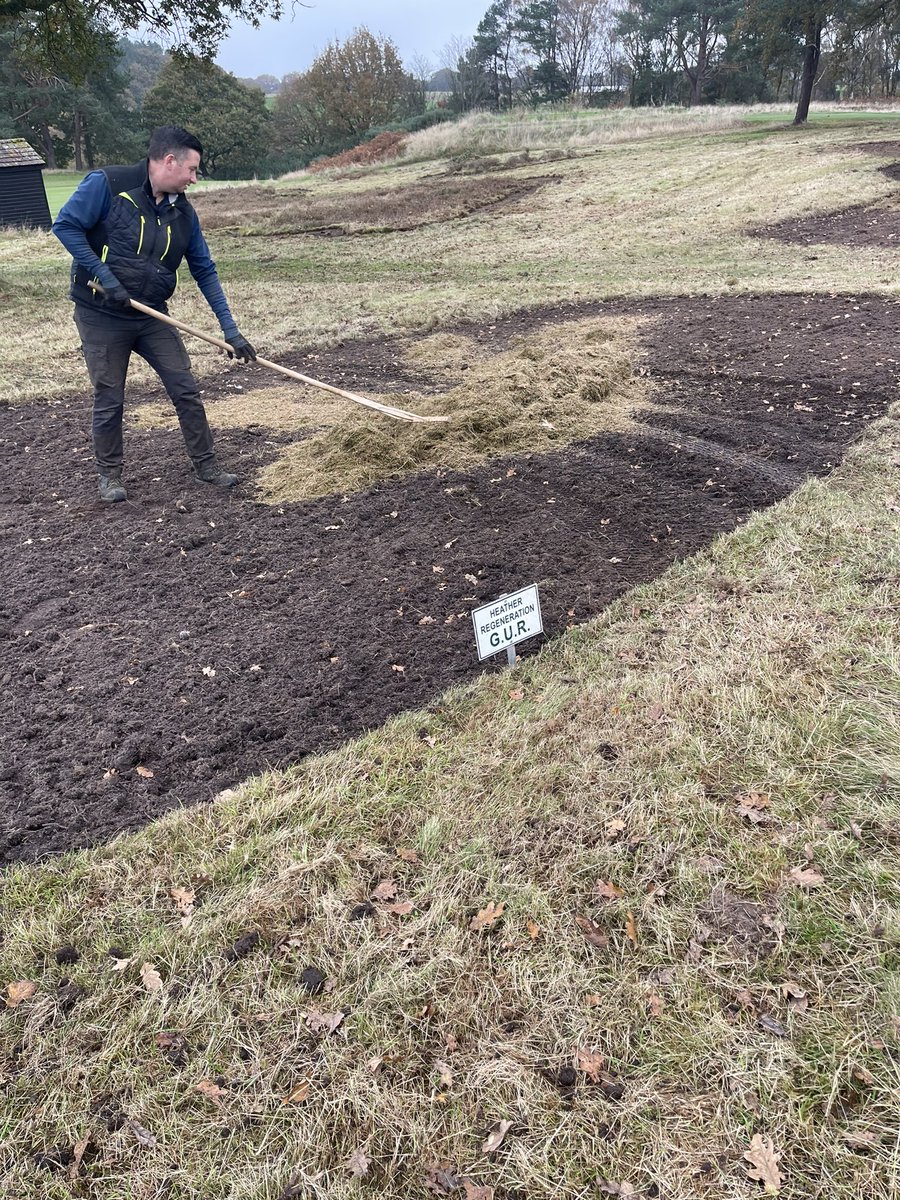 Delamere Forest GC Greens tweet media
