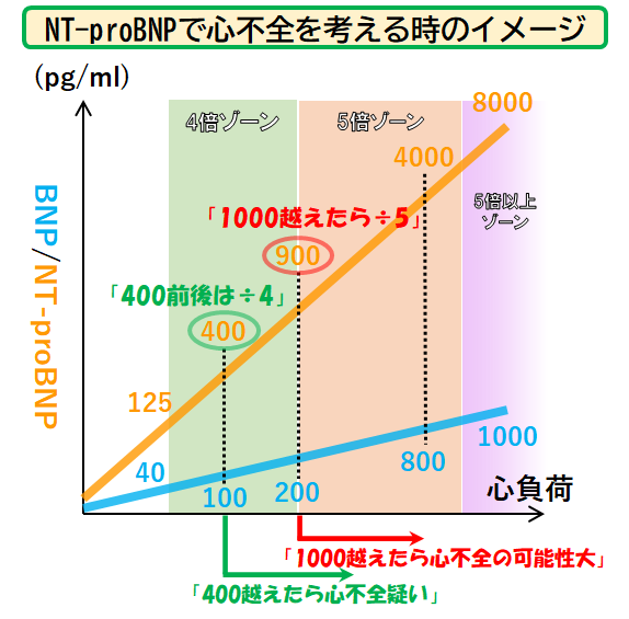 Dr_ppooohh_bot's tweet photo. ✅NTproBNPとBNPの換算をザックリ
💡単純な正の相関ではない
➤NTproBNP400≒BNP100：「だいたい4倍」が超簡単な換算
⇒400以上は，心不全を念頭に
➤1000を越えてくると，BNPの5倍
⇒1000以上は，心不全の可能性大
※但し，すべて正常腎機能時 https://t.co/LZkrL9VAie https://t.co/UO403qRJ0I