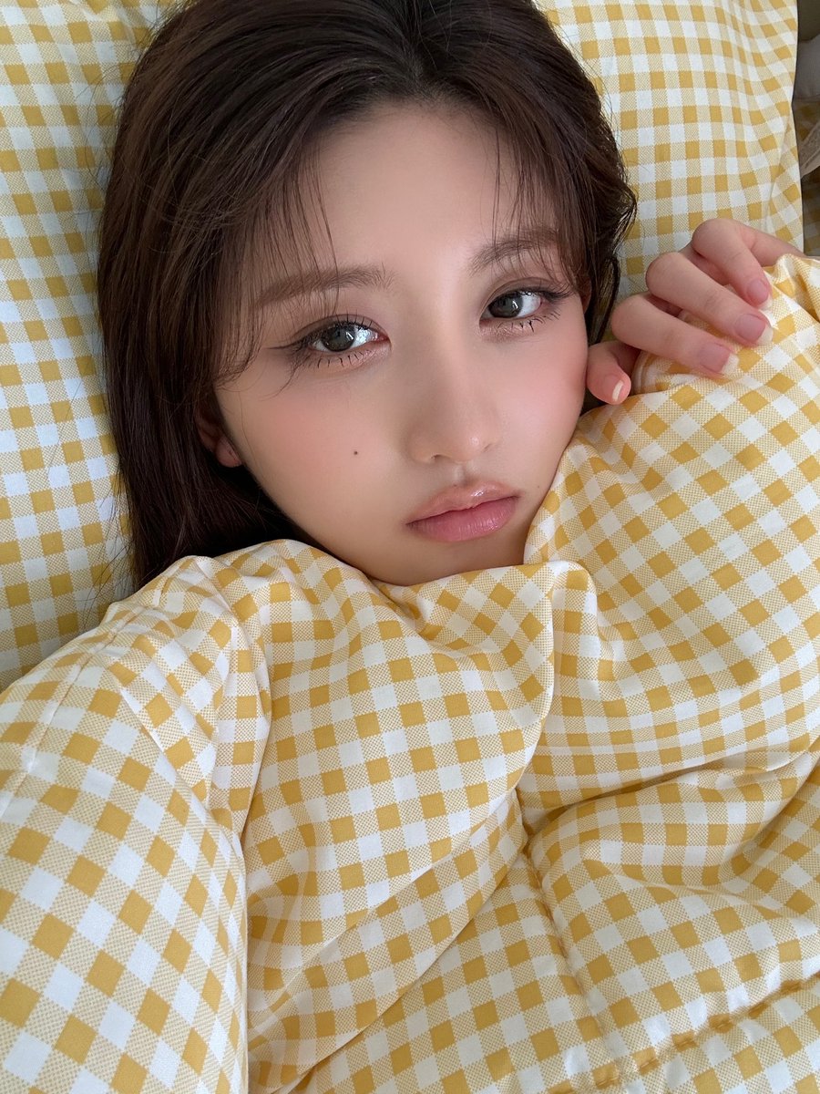 OrDjkou's tweet photo. おやすみモード秋ちゃん😴🥱 https://t.co/vJVCAlkzx1