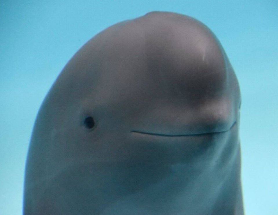 Byron Jagoe tweet media