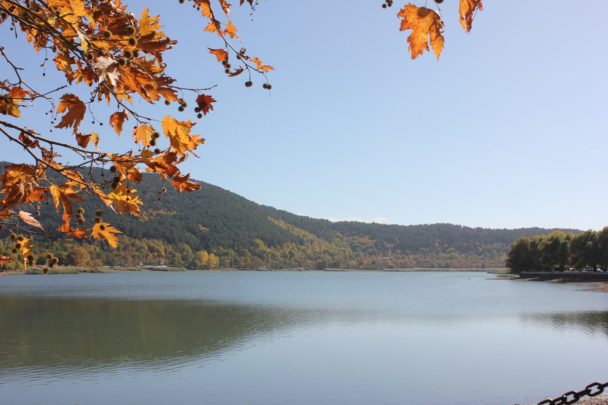 Nedir, dedim; bu yaşamak? 
Bir düş, dedi; bir kaç görüntü...