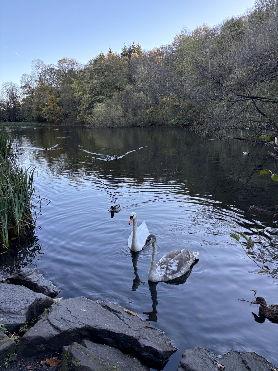 Sheena Nimmo tweet media