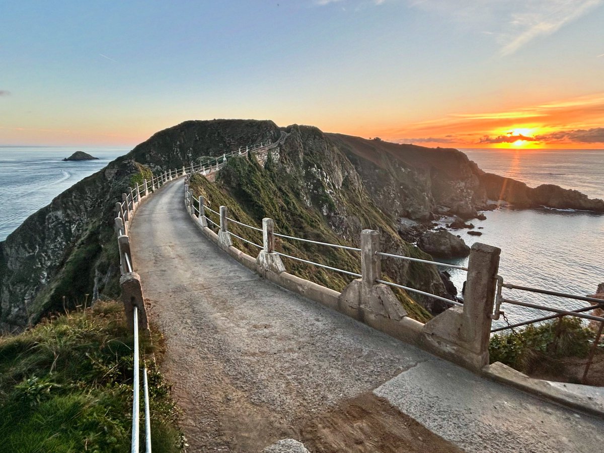 Jess is a Wanderer tweet media