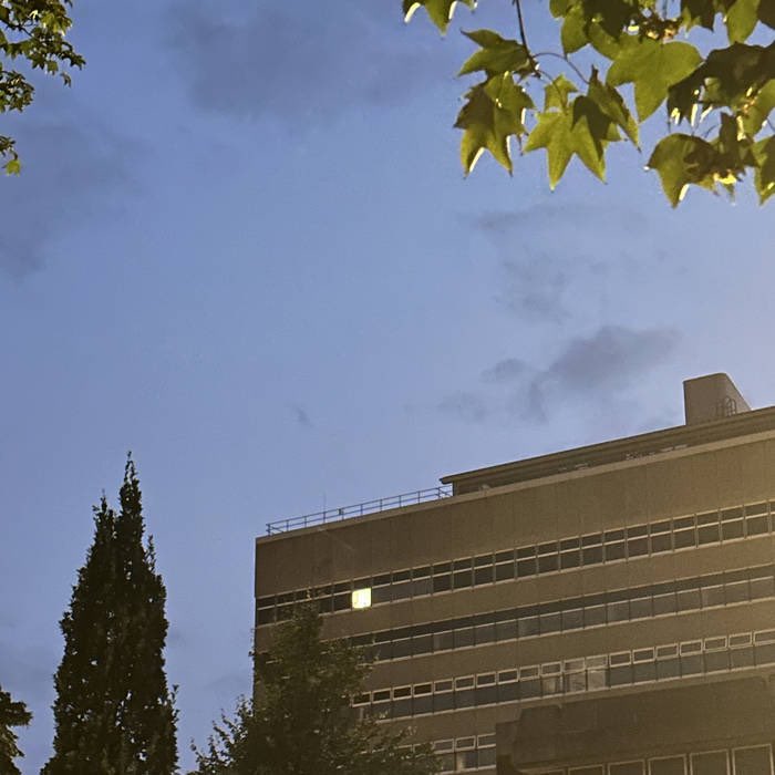 TEMPO

OUT NOW 

LINK IN BIO